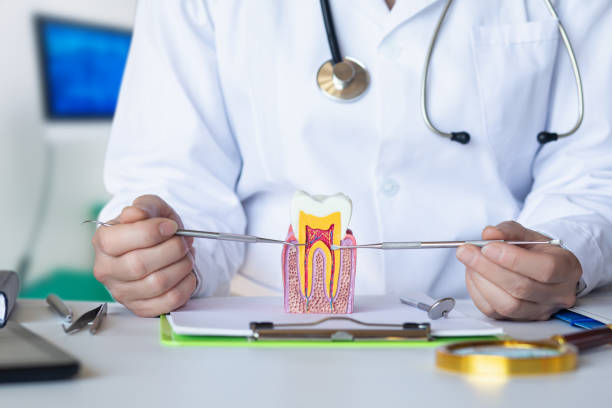 Best Emergency Root Canal Treatment in Essex Junction, VT
